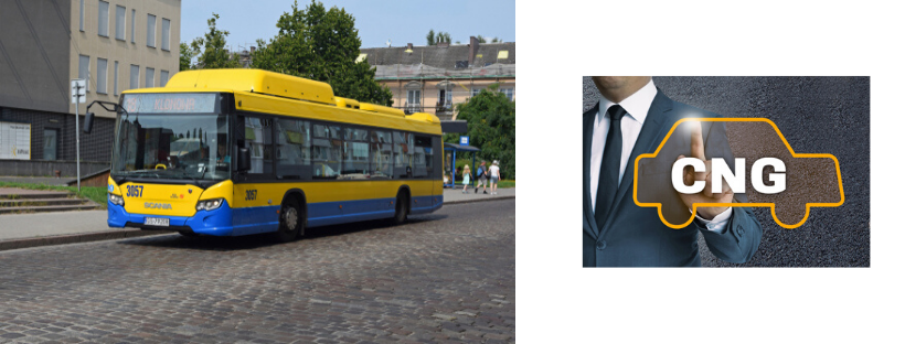 cng bus